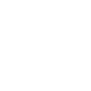 Custom Cakes & Desserts
